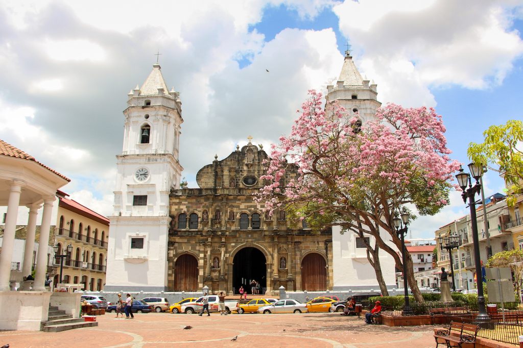 Exterior de la Catedral Metropolitana de Panamá con un roble sabanero floreado