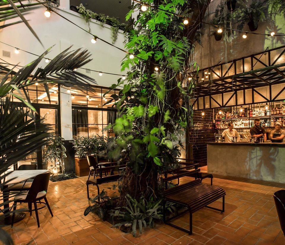 La nueva ubicación del restaurante Donde José tiene un patio interno con un árbol increíble en el medio, muchas plantas y un bar completamente equipado