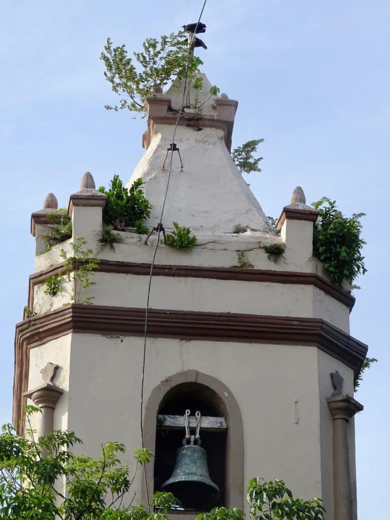 The bell tower of the Church of Santa Ana that has weeds growing