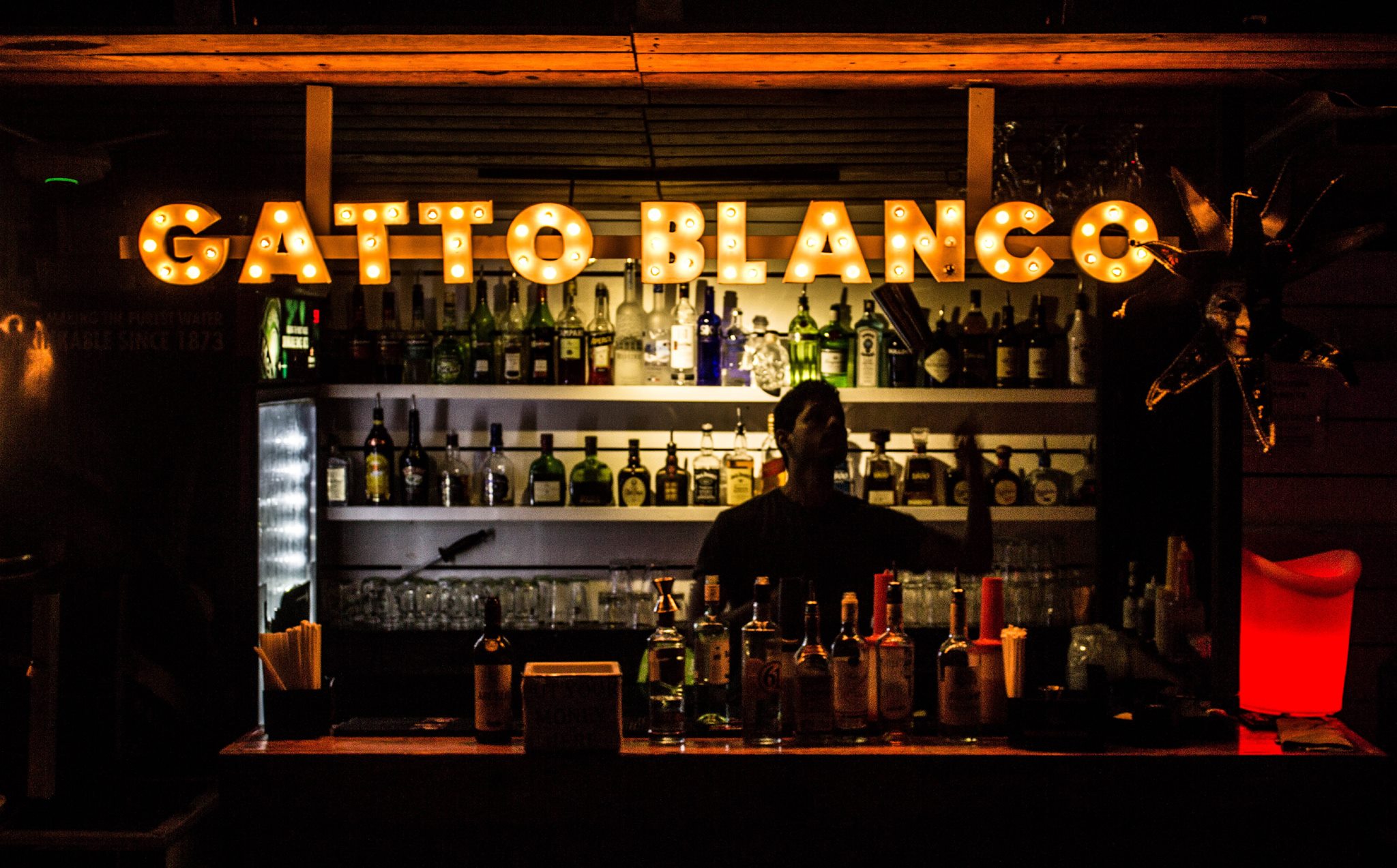 Gatto Blanco Rooftop Bar is on top of Coliseum Roma Restaurant