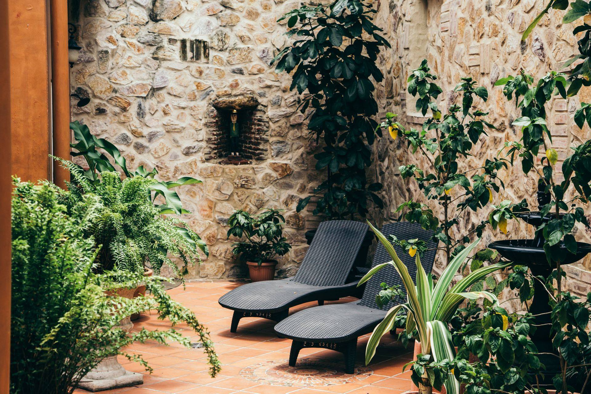 tumbonas y plantas en el patio de La Isabela Suites