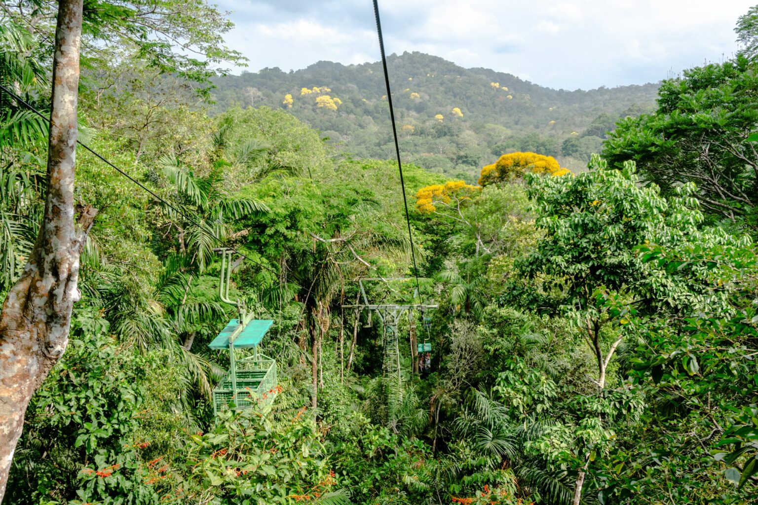 Gamboa Aerial Tram Panama Casco Viejo