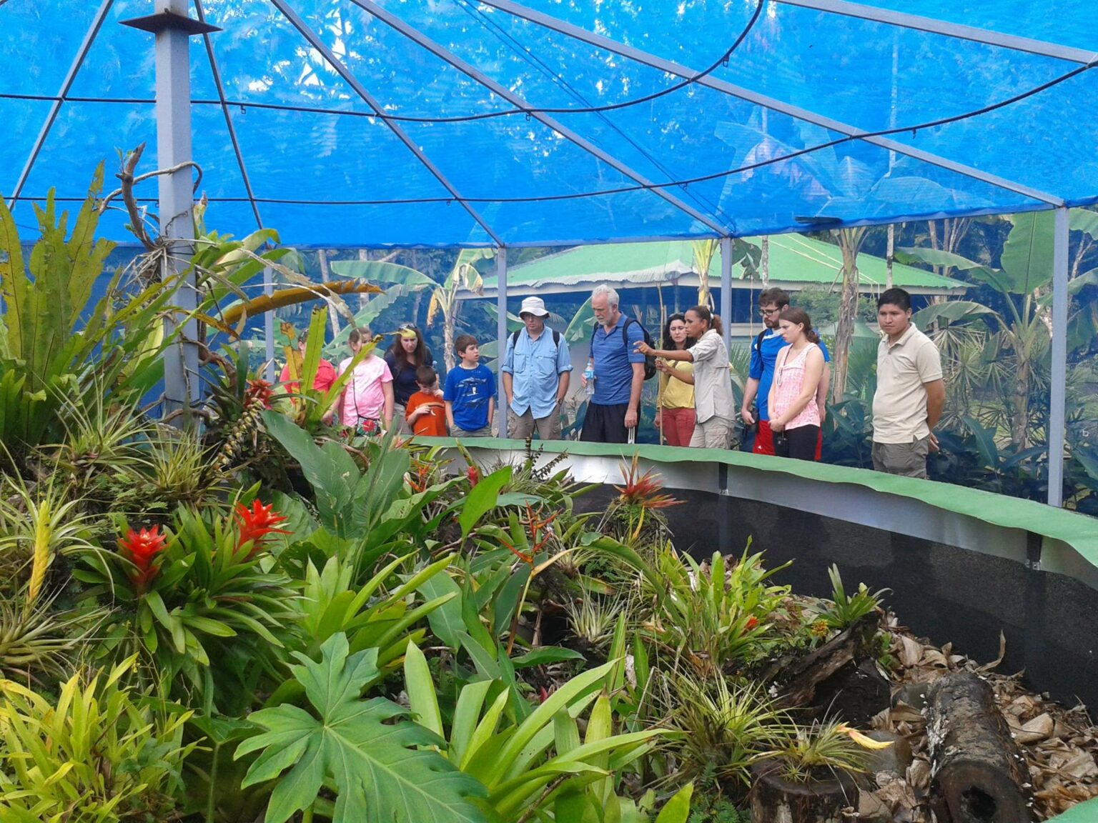 Gamboa Exhibitions Sloth Sanctuary, Butterflies, Orchids and Frogs Panama Casco Viejo