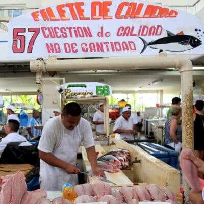 Eat or Buy Fresh Seafood in the Fish Market in Panama City