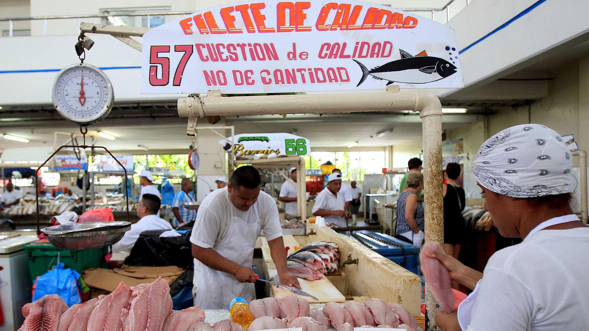 Fish Market in Panama City