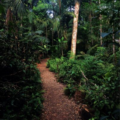 Mejores Áreas Recreativas y Parques en Ciudad de Panamá