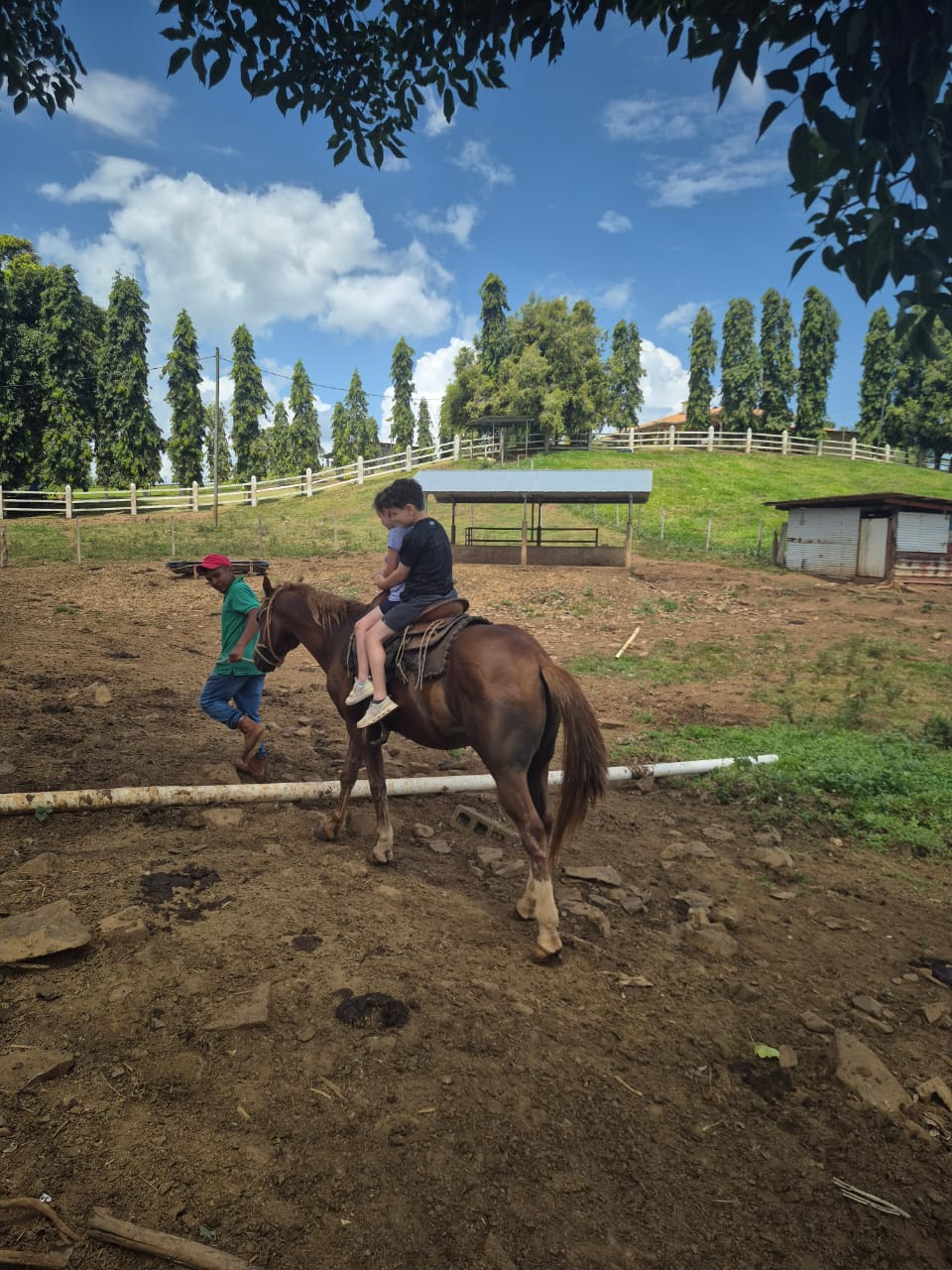 Pineapple Farm Tour - Image 12