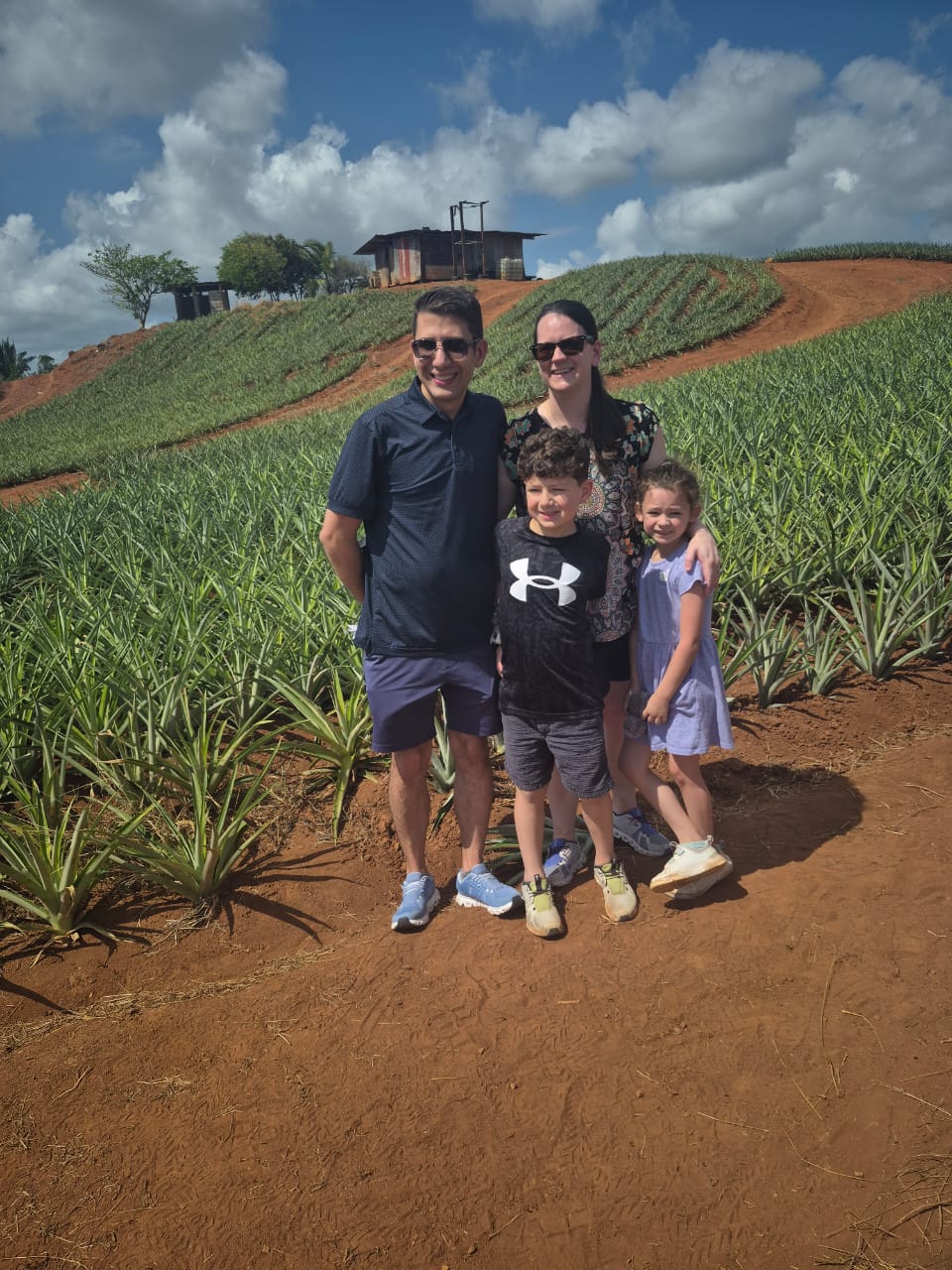 Pineapple Farm Tour - Image 7