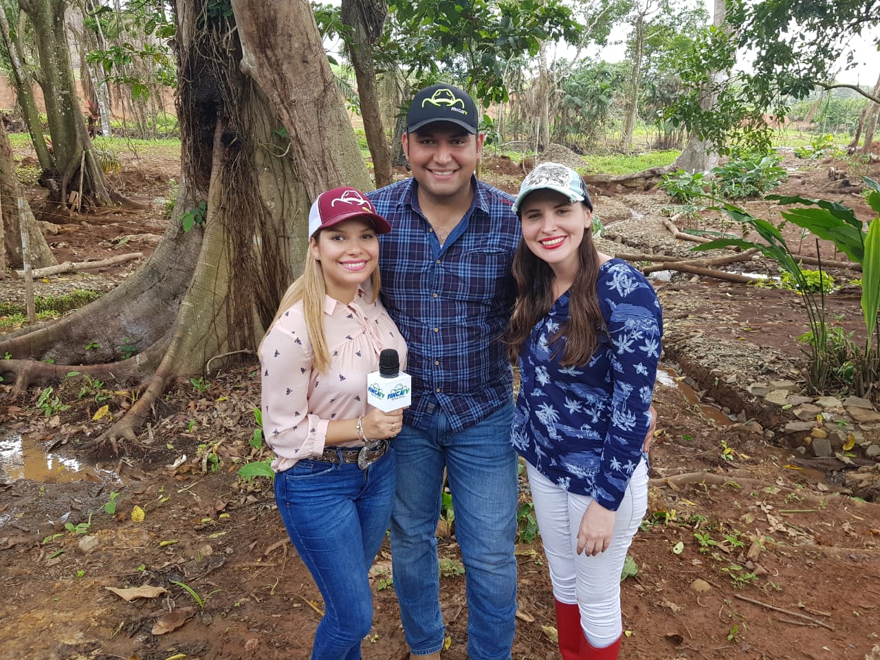 Pineapple Farm Tour - Image 10