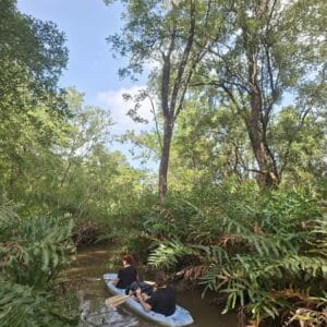 Portobelo Mangrove Kayak Tour