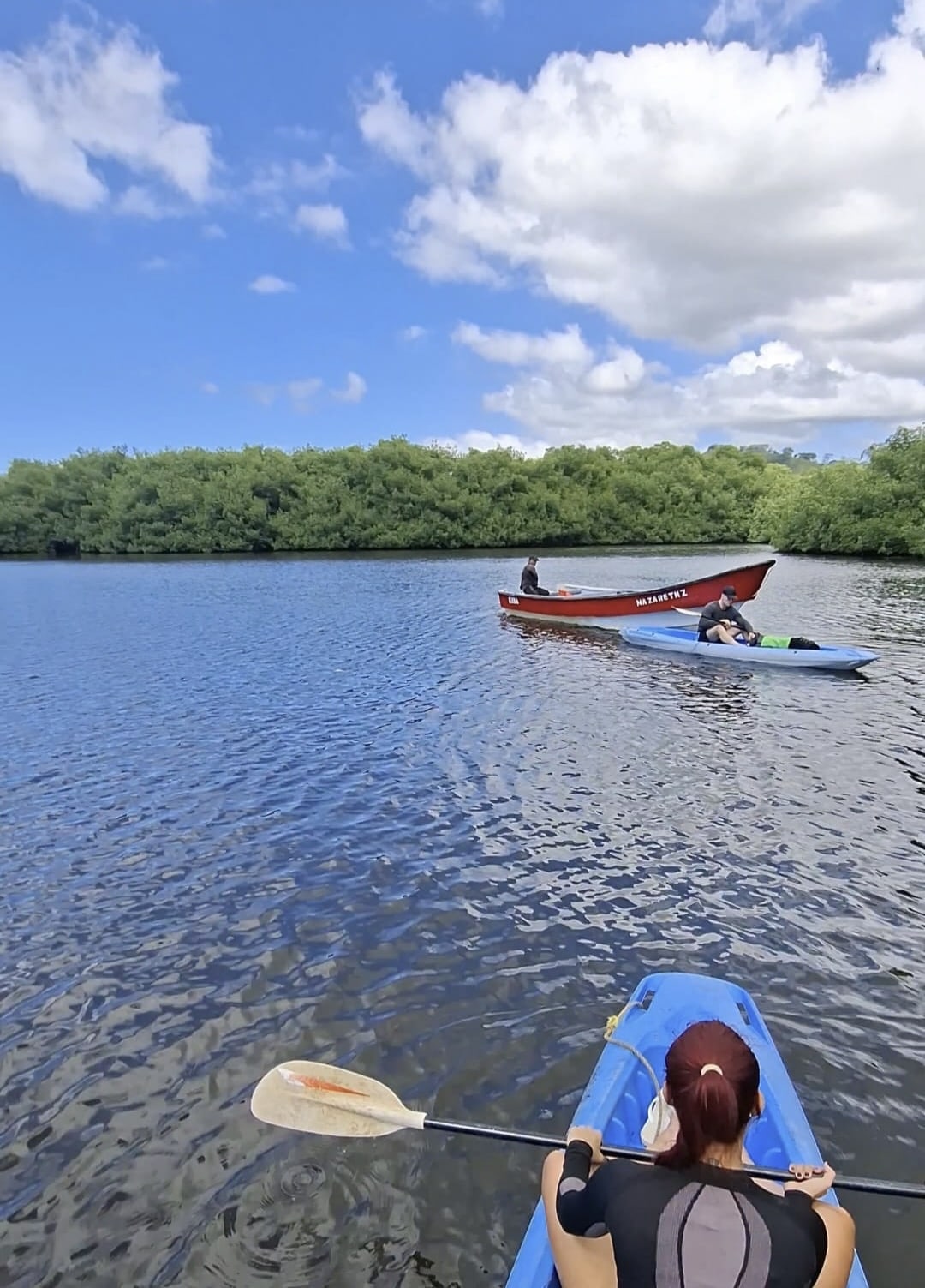 Portobelo Mangrove Kayak Tour Panama Casco Viejo Portobelo Mangrove Kayak Tour - Image 5