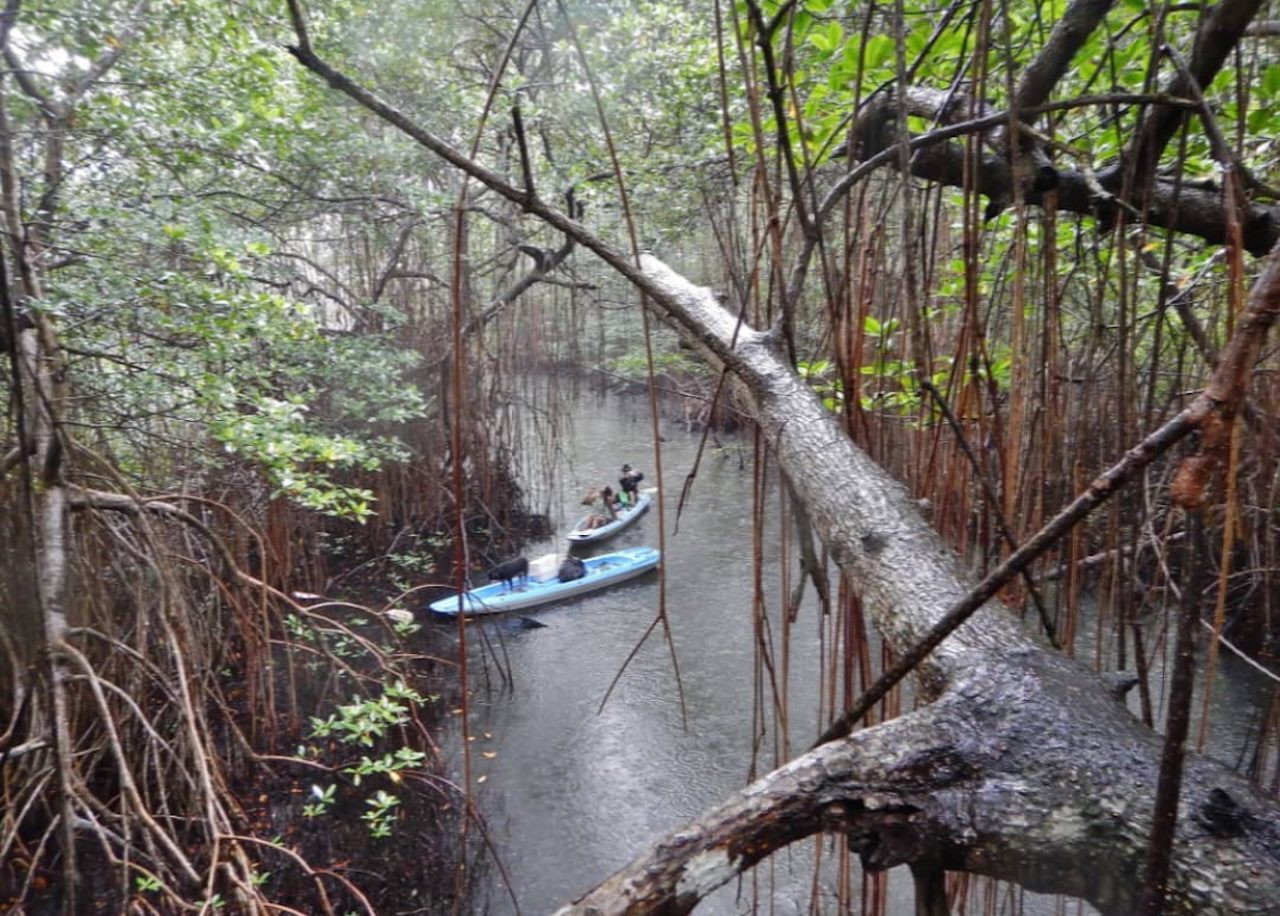 Portobelo Mangrove Kayak Tour Panama Casco Viejo Portobelo Mangrove Kayak Tour - Image 8