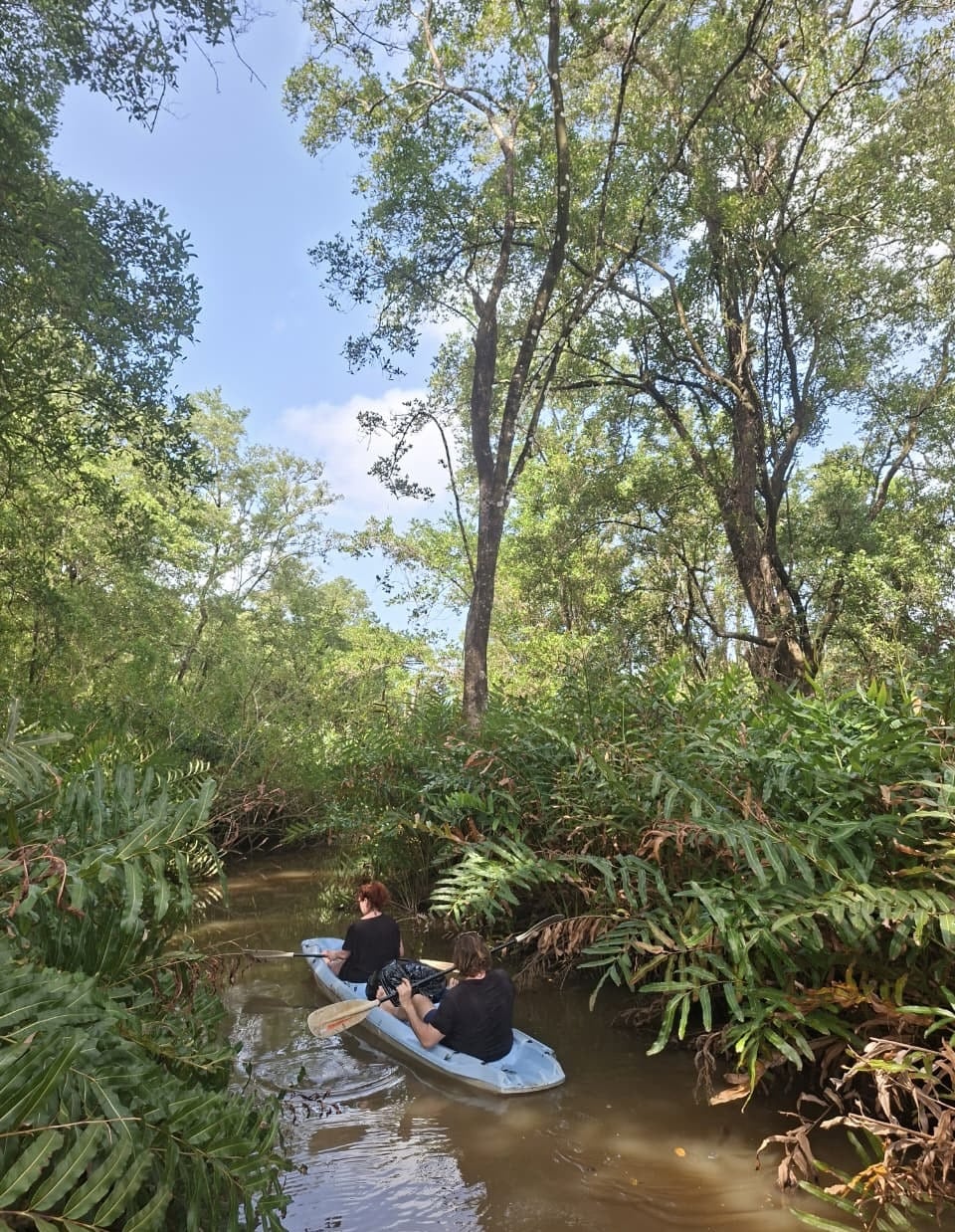 Portobelo Mangrove Kayak Tour Panama Casco Viejo Portobelo Mangrove Kayak Tour