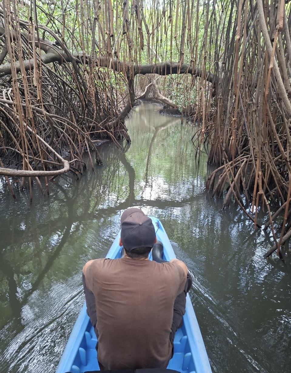 Portobelo Mangrove Kayak Tour Panama Casco Viejo Portobelo Mangrove Kayak Tour - Image 3
