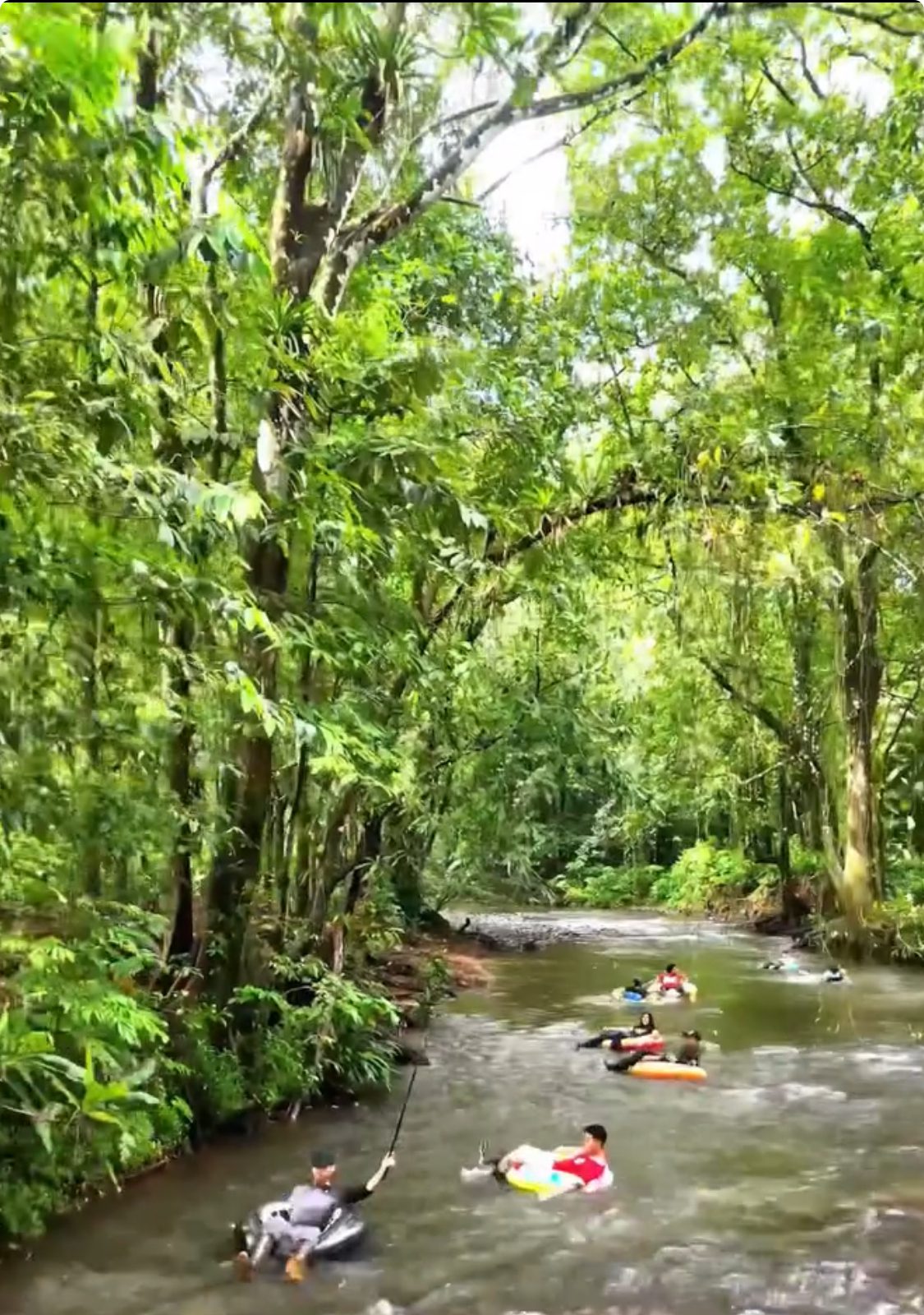 River Tubing in the Portobelo National Park Panama Casco Viejo River Tubing in the Portobelo National Park - Image 7