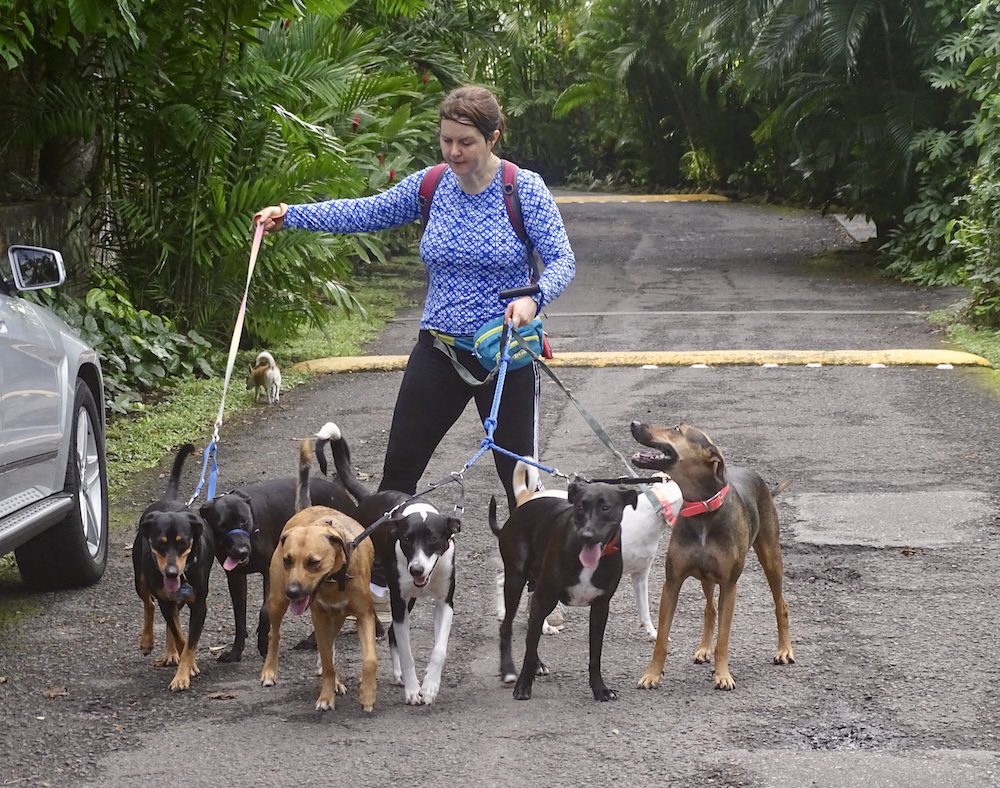 Ancon Hill Nature and History Hike Panama Casco Viejo Ancon Hill Nature and History Hike - Image 3