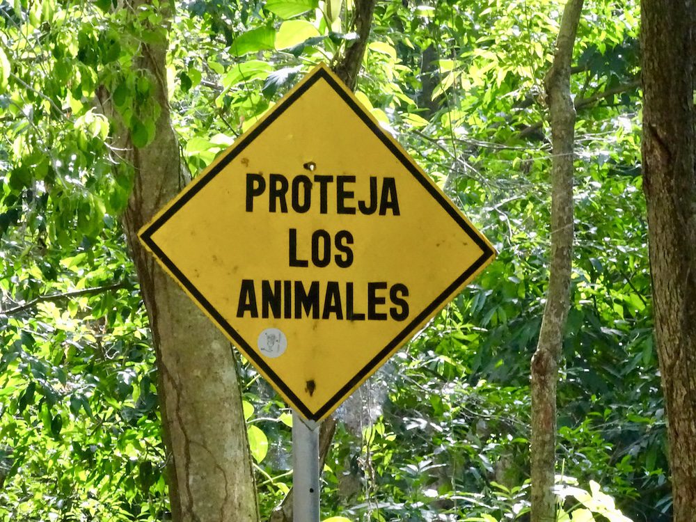 Ancon Hill Nature and History Hike Panama Casco Viejo Ancon Hill Nature and History Hike - Image 4