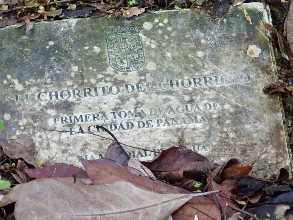 Ancon Hill Nature and History Hike Panama Casco Viejo Ancon Hill Nature and History Hike - Image 16