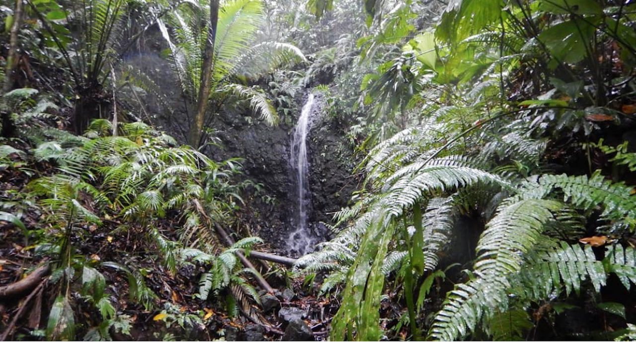 Camping or Hiking in Portobelo National Park Panama Casco Viejo Camping or Hiking in Portobelo National Park - Imagen 20