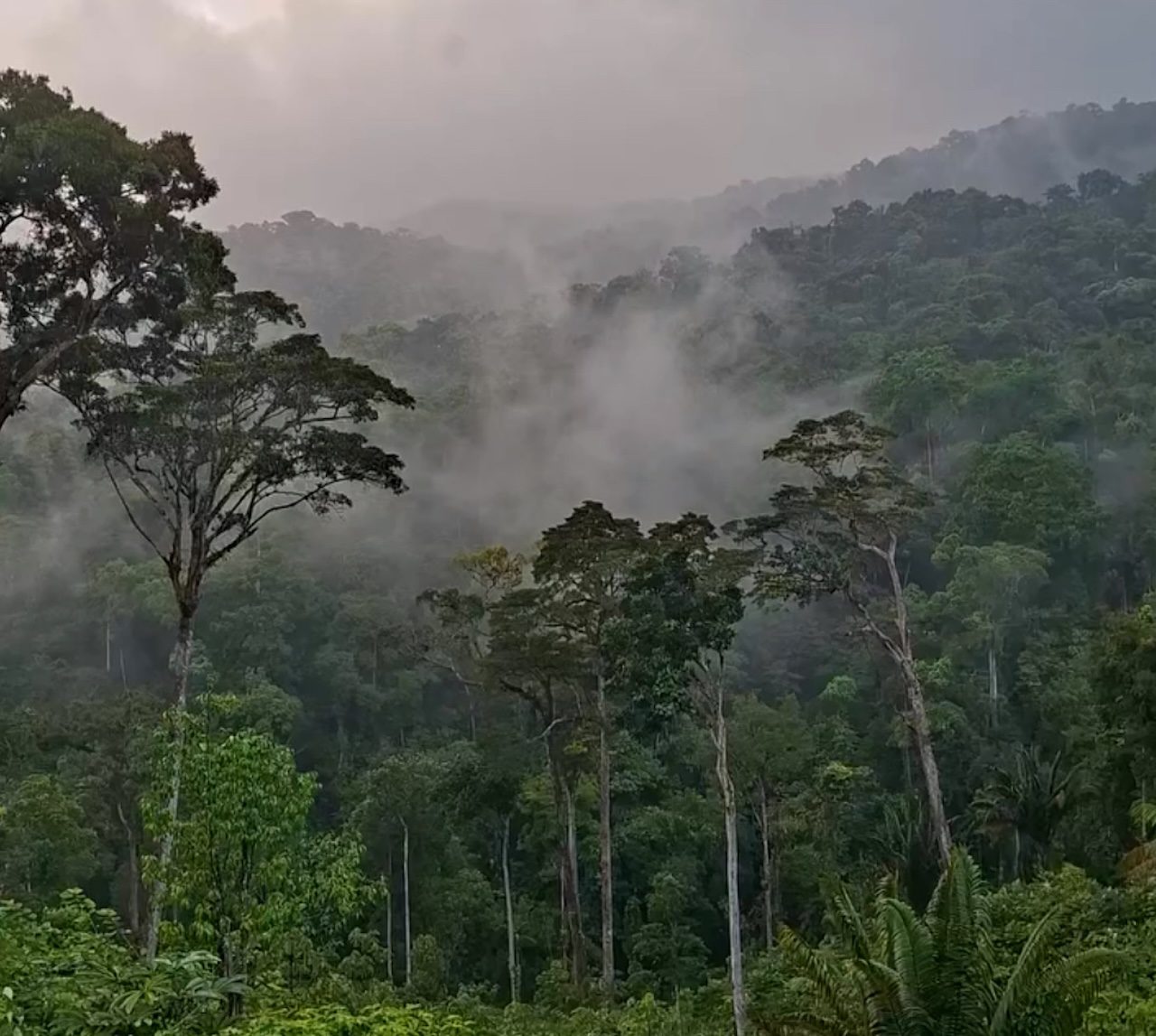 Camping or Hiking in Portobelo National Park Panama Casco Viejo Camping or Hiking in Portobelo National Park - Imagen 10