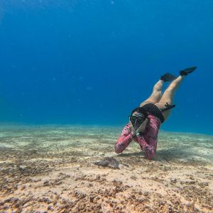 Island Hopping in the Pearl Islands  + Whale Watching (Seasonal)